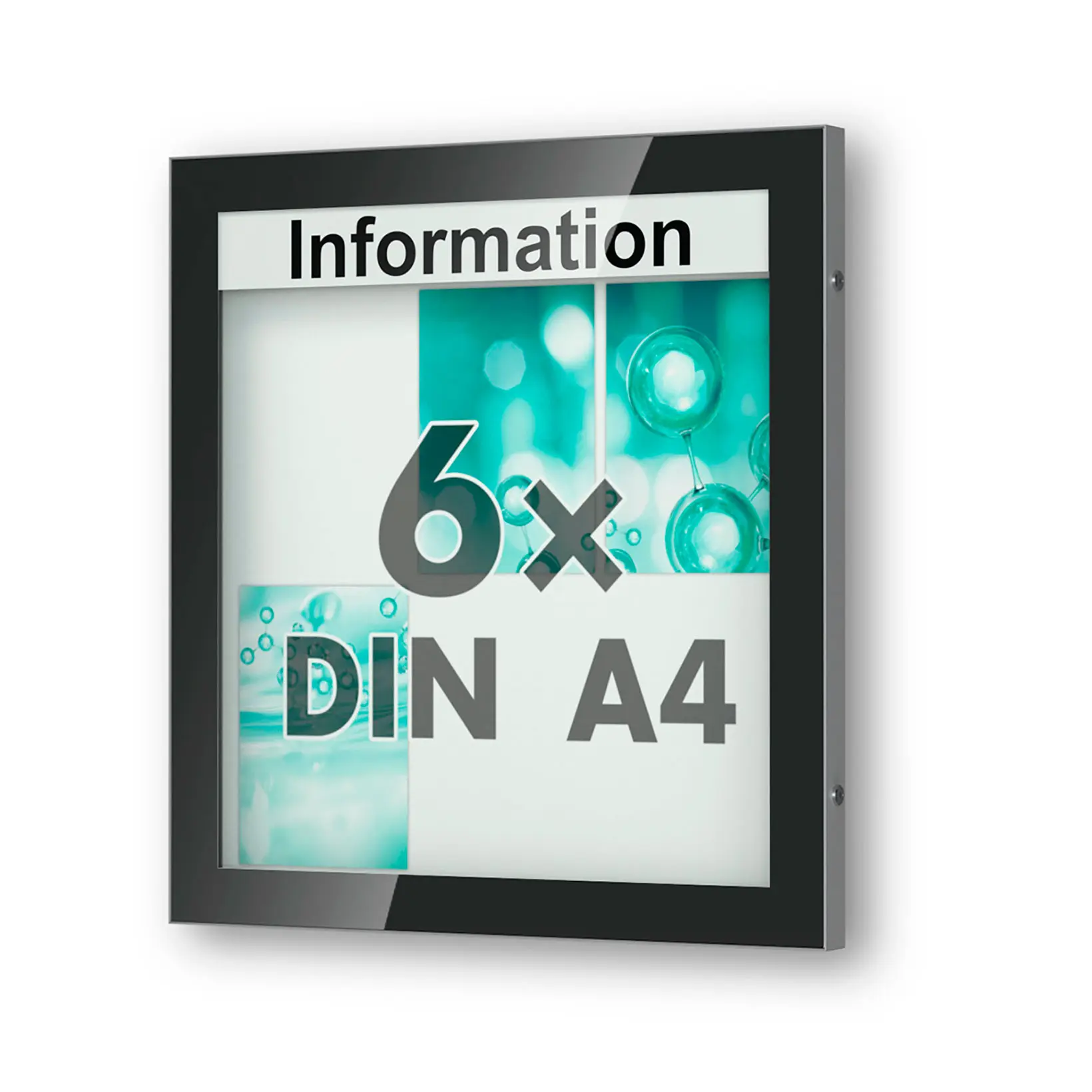 6 x DIN A4 Schaukasten Visus - Wandmontage